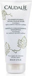 Caudalie Gentle Conditioning Shampoos Daily Use for All Hair Types 200ml