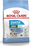 Royal Canin Starter Mother & Babydog Mini 8.5кг Суха Храна без Глутен за Кученца от Малки Породи с Птици и Ориз