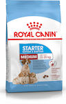 Royal Canin Starter Mother & Babydog Medium 4kg Trockenfutter für Welpen mittlerer Rassen mit Mais, Huhn und Reis