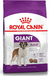 Royal Canin Giant Adult 15kg Ξηρά Τροφή για Ενήλικους Σκύλους Μεγαλόσωμων Φυλών με Πουλερικά και Καλαμπόκι