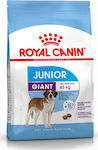Royal Canin Junior Giant 15kg Hrană uscată pentru Căței de Rase Mari cu și cu Porumb / Orez / Păsări de curte