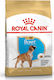 Royal Canin Puppy Boxer 12kg Hrană Uscată pentru Cățeluși de Rase Medii cu Păsări de curte și Orez