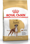 Royal Canin Adult Boxer 12kg Ξηρά Τροφή για Ενήλικους Σκύλους Μεσαίων Φυλών με Πουλερικά και Ρύζι