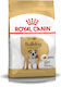 Royal Canin Adult Bulldog 3kg Hrană Uscată pentru Câini Adulți de Rase Mici cu Păsări de curte și Orez