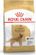 Royal Canin Adult Golden Retriever 3kg Dry Food for Adult Dogs of Large Breeds with Corn, Poultry and Rice