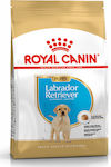 Royal Canin Puppy Labrador Retriever 3kg Ξηρά Τροφή για Κουτάβια Μεγαλόσωμων Φυλών με Πουλερικά, Ρύζι και Καλαμπόκι