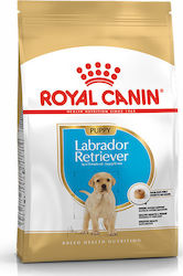 Royal Canin Puppy Labrador Retriever Royal Canin Puppy Labrador Retriever