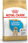 Royal Canin Puppy Labrador Retriever 12kg Ξηρά Τροφή για Κουτάβια Μεγαλόσωμων Φυλών με Καλαμπόκι, Πουλερικά και Ρύζι