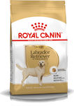 Royal Canin Adult Labrador Retriever 12kg Trockenfutter für erwachsene Hunde großer Rassen mit Geflügel, Mais und Reis