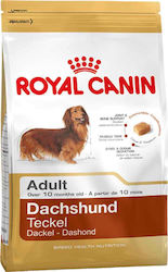 Royal Canin Adult Dachshund Teckel 1.5kg Trockenfutter für erwachsene Hunde kleiner Rassen mit Brauner Reis und Huhn