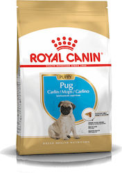 Royal Canin Pug Junior 1.5kg