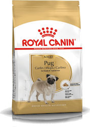 Royal Canin Adult Pug 3kg Trockenfutter für erwachsene Hunde kleiner Rassen mit Mais, Geflügel und Reis