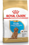 Royal Canin Poodle Junior 3kg Trockenfutter für Welpen kleiner Rassen mit Mais und Geflügel
