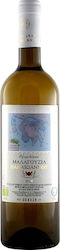 Ktima Papaioannou Weiß Trocken Nemea 750ml