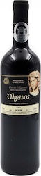 Ktima Founti Olganos Rot Trocken 750ml