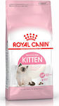 Royal Canin Second Age Kitten Dry Food for Juvenile Cats with Poultry 4kg