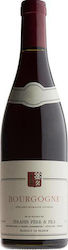 Serafin Père et Fils Bio Bourgogne Rot Trocken 750ml