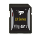 Patriot LX Series SDXC 128GB Class 10 U1 UHS-I