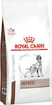 Royal Canin Veterinary Hepatic 12kg Ξηρά Τροφή για Ενήλικους Σκύλους με Καλαμπόκι και Ρύζι