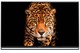 Panasonic Smart Τηλεόραση 50" 4K UHD TX-50AX800 (2014) TX-50AX800E