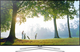 Samsung Smart Fernseher 55" UE55H6240AW HDR