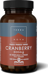 TerraNova Cranberry 300mg 50 φυτικές κάψουλες TerraNova Cranberry 300mg 50 φυτικές κάψουλες