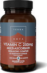 TerraNova Vitamin C Βιταμίνη για Ανοσοποιητικό 250mg 50 φυτικές κάψουλες