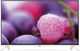 LG Smart Τηλεόραση 40" 4K UHD 40UB800V