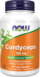 Now Foods Cordyceps 750mg 90 Vegetable Capsules