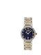 Ellesse Watch with Silver Metal Bracelet 03-0093-204