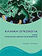 Κλινική ογκολογία, Principles of oncology nursing care