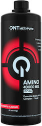 QNT Amino Liquid