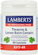 Lamberts Theanine & Lemon Balm Complex 60 file Necondimentat