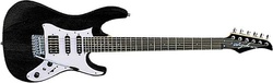 Suzuki SGM30 Electric Guitar Stratocaster with HSS Pickup Configuration Black