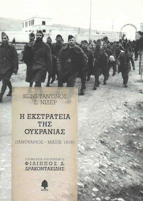Η εκστρατεία της Ουκρανίας, Ιανουάριος - Μάιος 1919