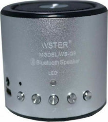 WSTER Ηχείο Bluetooth 3W με Ραδιόφωνο Ασημί WS-Q9