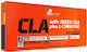 Olimp Sport Nutrition CLA with Green Tea plus L-Carnitine 60 ταμπλέτες