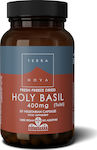 TerraNova Holy Basil 400mg Supplement for Anxiety 50 veg. caps