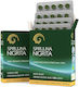 Spiroulina Nigrita Spirulina 120 Registerkarten