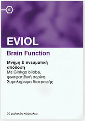 Eviol Brain Function Ergänzungsmittel für das Gedächtnis 30 Softgels