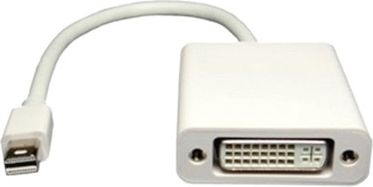 Aculine Mini DisplayPort Male to DVI-I Female Converter White 1 Piece