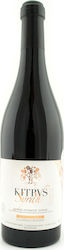 Kitrvs Ampelonas Oinopoieio Rot Trocken 750ml