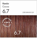 Korres Argan Oil Advanced Colorant Set Haarfarbe kein Ammoniak 6.7 Cocoa 50ml