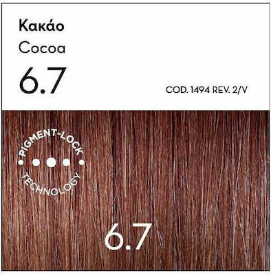 Korres Argan Oil Advanced Colorant Set Haarfarbe kein Ammoniak 6.7 Cocoa 50ml