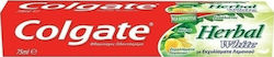 Colgate Herbal White Toothpaste for Whitening 75ml