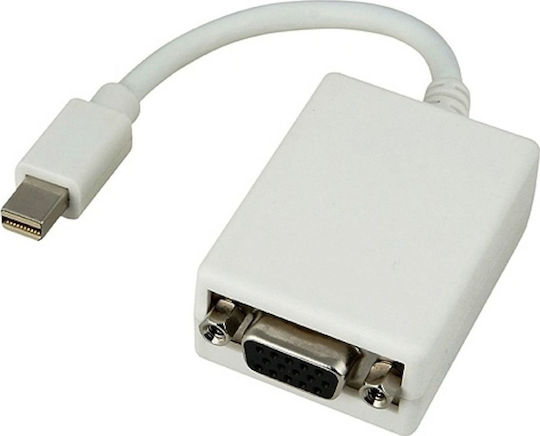 Powertech Μετατροπέας mini DisplayPort male σε VGA female Λευκό 1τμχ CAB-DP015