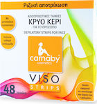 Carnaby Viso Facial Hair Removal Wax 48pcs