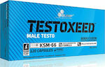 Olimp Sport Nutrition Testoxeed Male Testo 120 κάψουλες