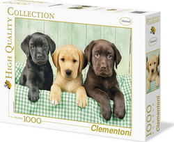 Puzzle 2D 1000buc