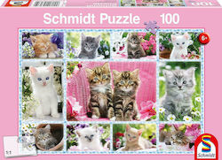 Kids Puzzle Standard for 6++ Years 100pcs Schmidt Spiele